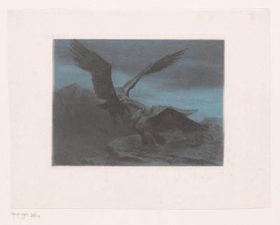 Två örnar i ett berg av Eugène Van Hove