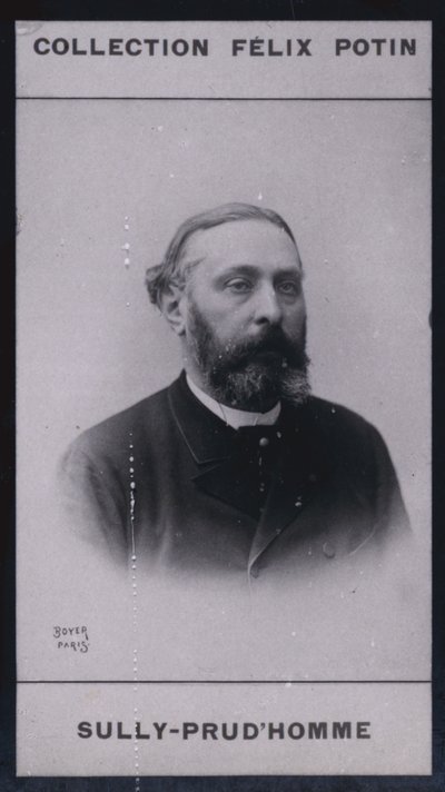 Armand Sully Prudhomme (1839) (s/v foto) av European Photographer