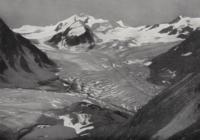 Braunschweiger Hutte, mot Wildspitze, Pitztal (s/v foto) av European Photographer