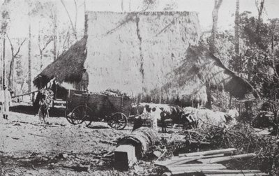 Brasilien: A Mate Camp, Parana (svartvitt foto) av European Photographer