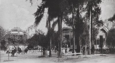 Brasilien: San Paolo, Jardim da Luz (svartvitt foto) av European Photographer