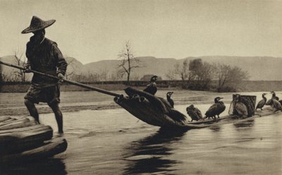 Kina, fiske efter skarvar (s/v foto) av European Photographer