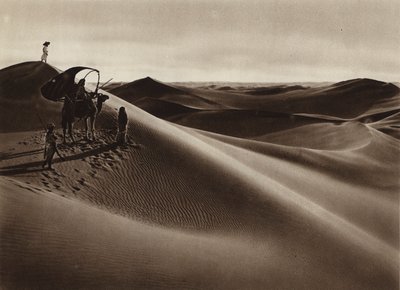 Sanddyner (svartvitt foto) av European Photographer