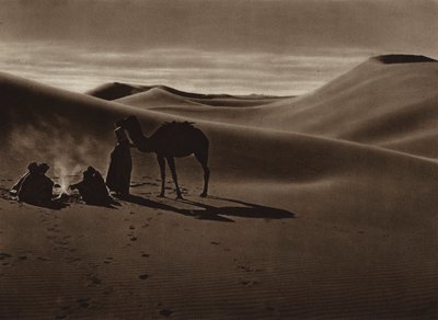 Kväll i öknen (svartvitt foto) av European Photographer