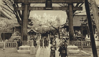 Japan, gata i Tokyo, tid för körsbärsblomning (s/v foto) av European Photographer