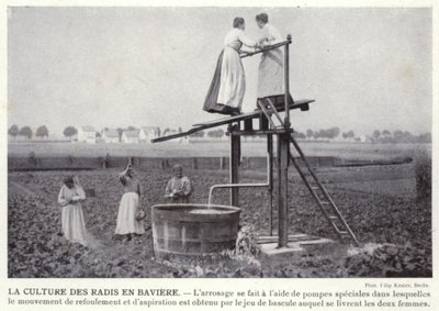 Rädiskulturen i Bayern (s/v foto) av European Photographer