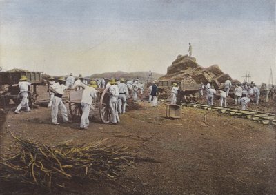 De fångar på jobbet, Noumea av European Photographer
