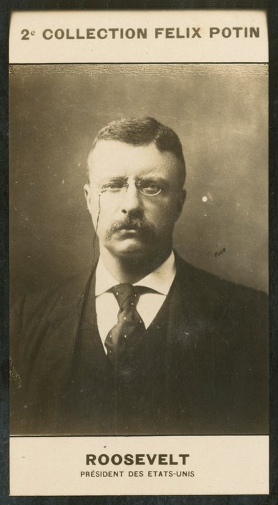 Theodore Roosevelt, USA:s president av European Photographer