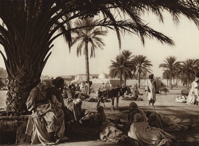 Touggourt Oasis (s/v-foto) av European Photographer