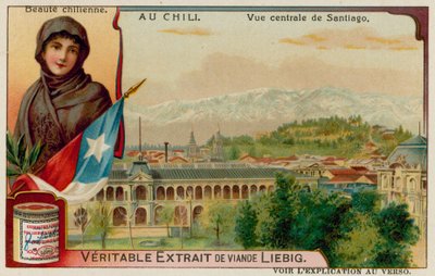 En chilensk skönhet och utsikt över centrala Santiago av European School