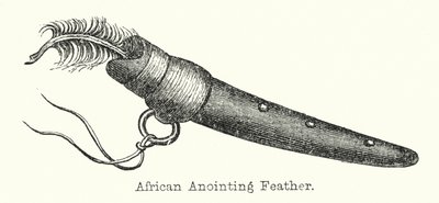 Afrikansk smörjningsfjäder (gravyr) av European School