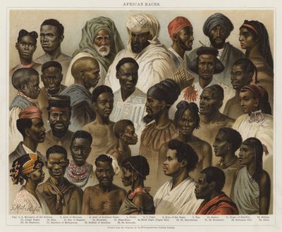 Afrikanska raser av European School