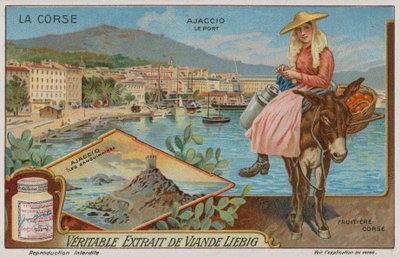 Ajaccio, Iles Sanguinaires skärgård och en fruktförsäljare av European School