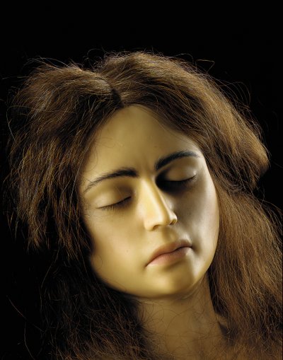 Anatomisk modell av en äggstocksgraviditet, detalj av European School