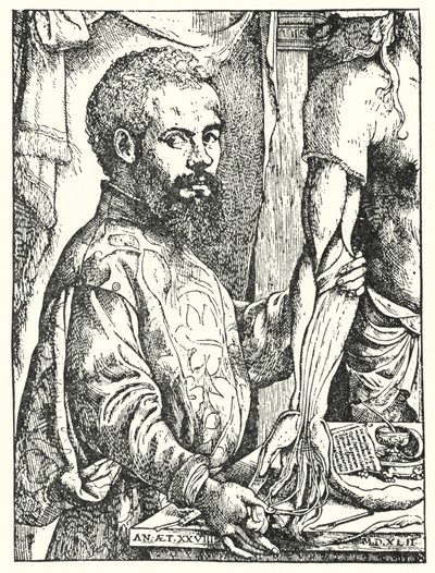 Andreas Vesalius (gravyr) av European School