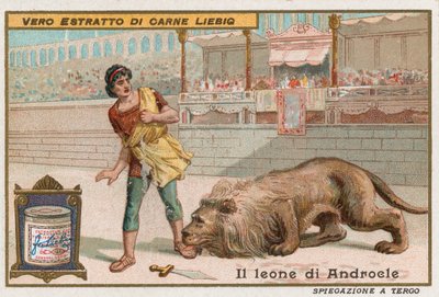 Androkles och lejonet av European School