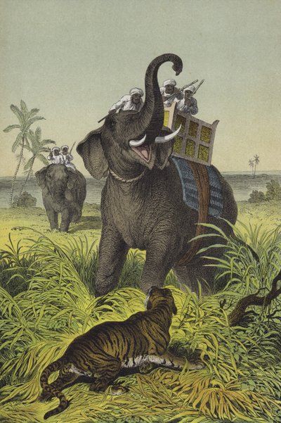 Djur och växter i Indien (färg litho) av European School