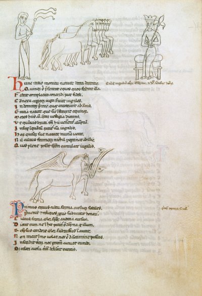 Bestiary: the Horse (bläck på veläng) av European School
