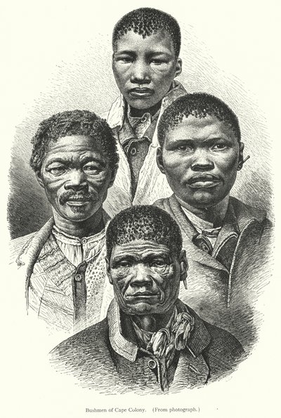 Bushmen från Kapkolonin (gravyr) av European School