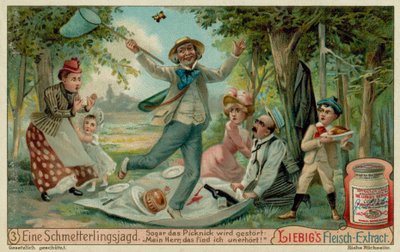 Fjärilsjakt och picknick av European School