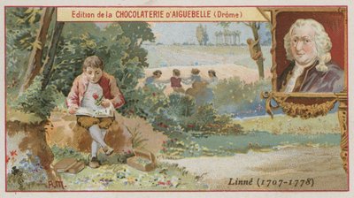 Carl Linnaeus, svensk botaniker och zoolog av European School