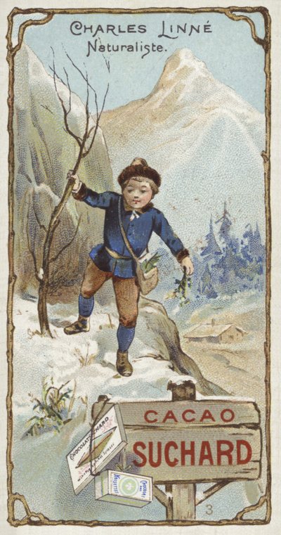 Carl Linnaeus, svensk botaniker och zoolog, som barn av European School