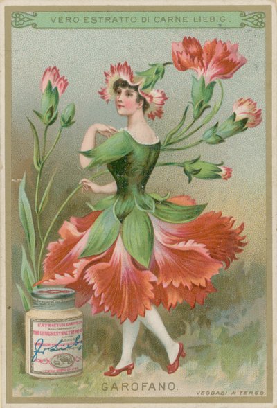 Nejlika blomma flicka av European School