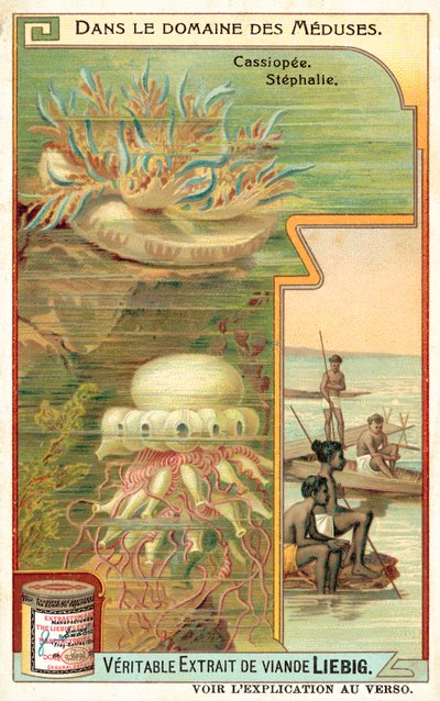 Cassiopeia och Stephalia (chromolitho) av European School