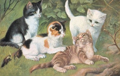 Vykort med katt (färglitografi) av European School