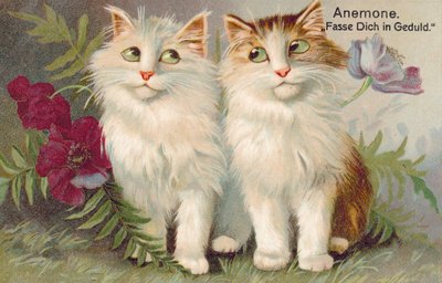 Vykort med katt (färglitografi) av European School