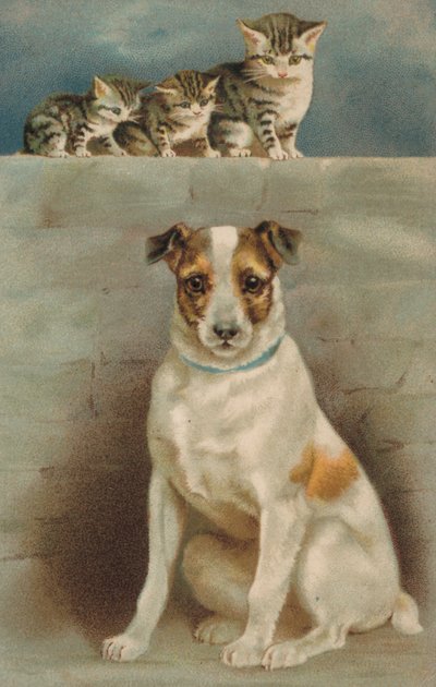 Katter observerar en hund (färglitografi) av European School