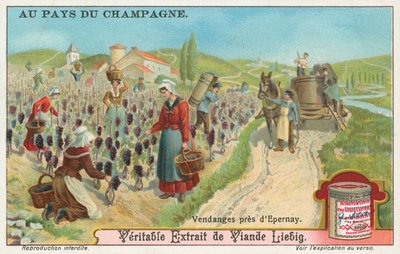 Champagne, Liebig-kort, början av 1900-talet (chromo) av European School