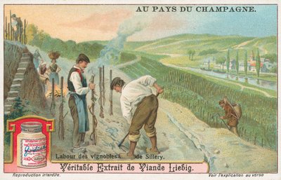 Champagne, Liebig-kort, början av 1900-talet (chromo) av European School