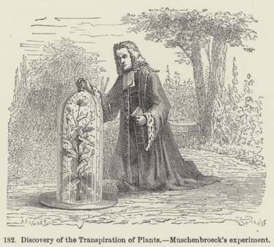 Discovery of the Transpiration of Plants, Muschenbroecks experiment (gravyr) av European School