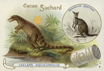Dryptosaurus och känguru av European School