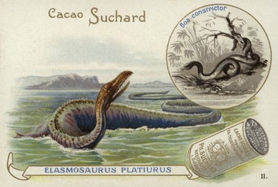 Elasmosaurus och boa constrictor av European School