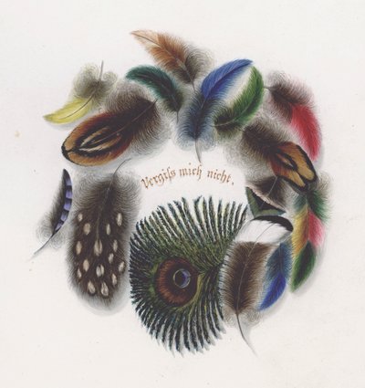Fjädrar (färg litho) av European School