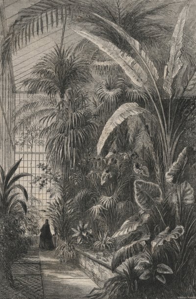 Great Greenhouse of the Museum of Paris (gravyr) av European School