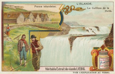 Isländsk gård och Gullfoss (Golden Falls) på Hvita av European School