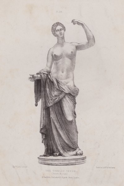 Illustration till The Anatomy of the External Forms of Man: Townley Venus, British Museum (litografi) av European School