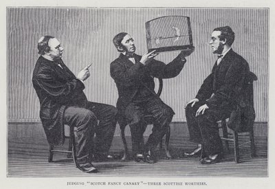 Att döma "Scotch Fancy Canary", Three Scottish Worthies av European School