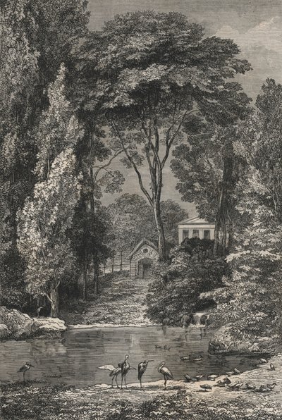 Den schweiziska dalen i Jardin Des Plantes i Paris (gravyr) av European School