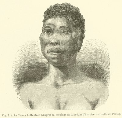 Hottentot Venus, från rollbesättningen av Naturhistoriska museet i Paris (gravyr) av European School