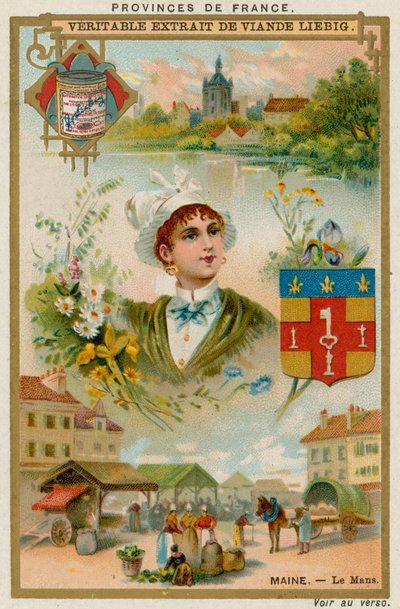 Maine av European School