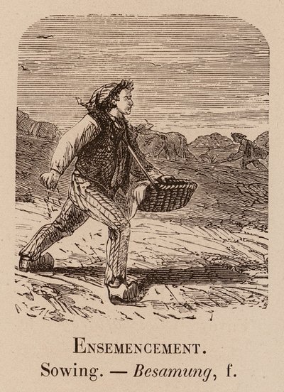 Illustrativt ordförråd: Sådd; Sådd; Besamung (gravyr) av European School