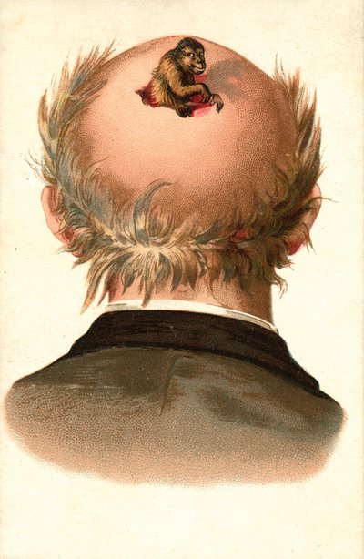 Manligt huvud - med apa som klättrar ut (chromolitho) av European School
