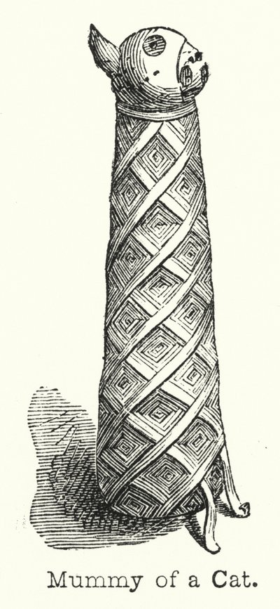 Mummy of a Cat (gravyr) av European School
