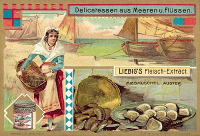 Musslor och ostron (chromolitho) av European School