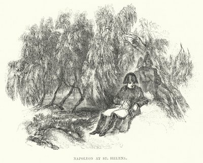 Napoleon i St Helena (gravyr) av European School