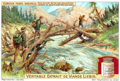 Naturlig bro bildad av fallna och övervuxna träd i Kanada (chromolitho) av European School